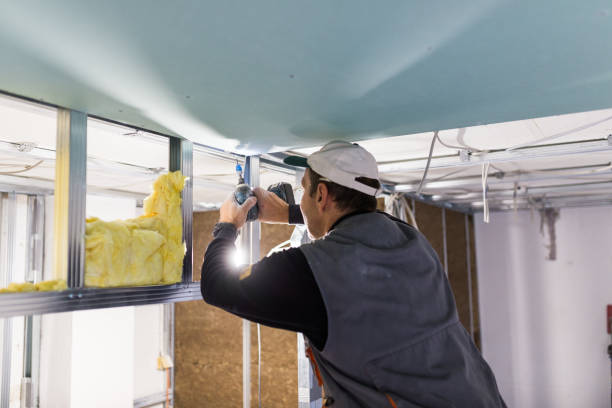 Best Specialized Insulation Services in Richmond Heights, OH