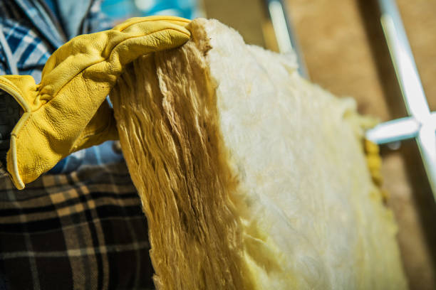 Best Insulation Maintenance and Repair in Richmond Heights, OH