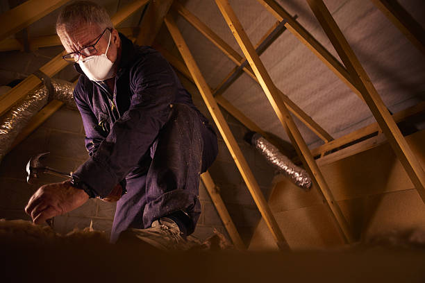 Best Eco-Friendly Insulation in Richmond Heights, OH